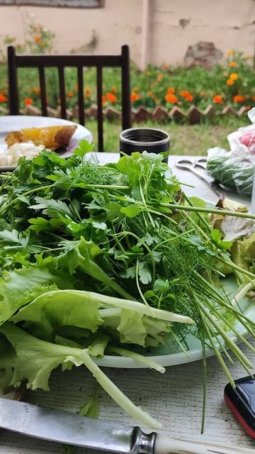 Хорошо в деревне летом