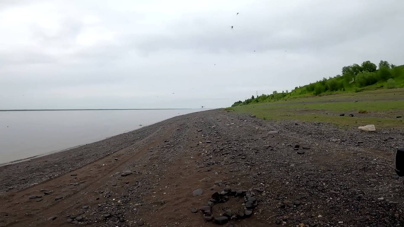 Коротко о рыбалке сегодня. смотреть онлайн