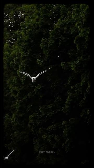 летний Санкт Петербург