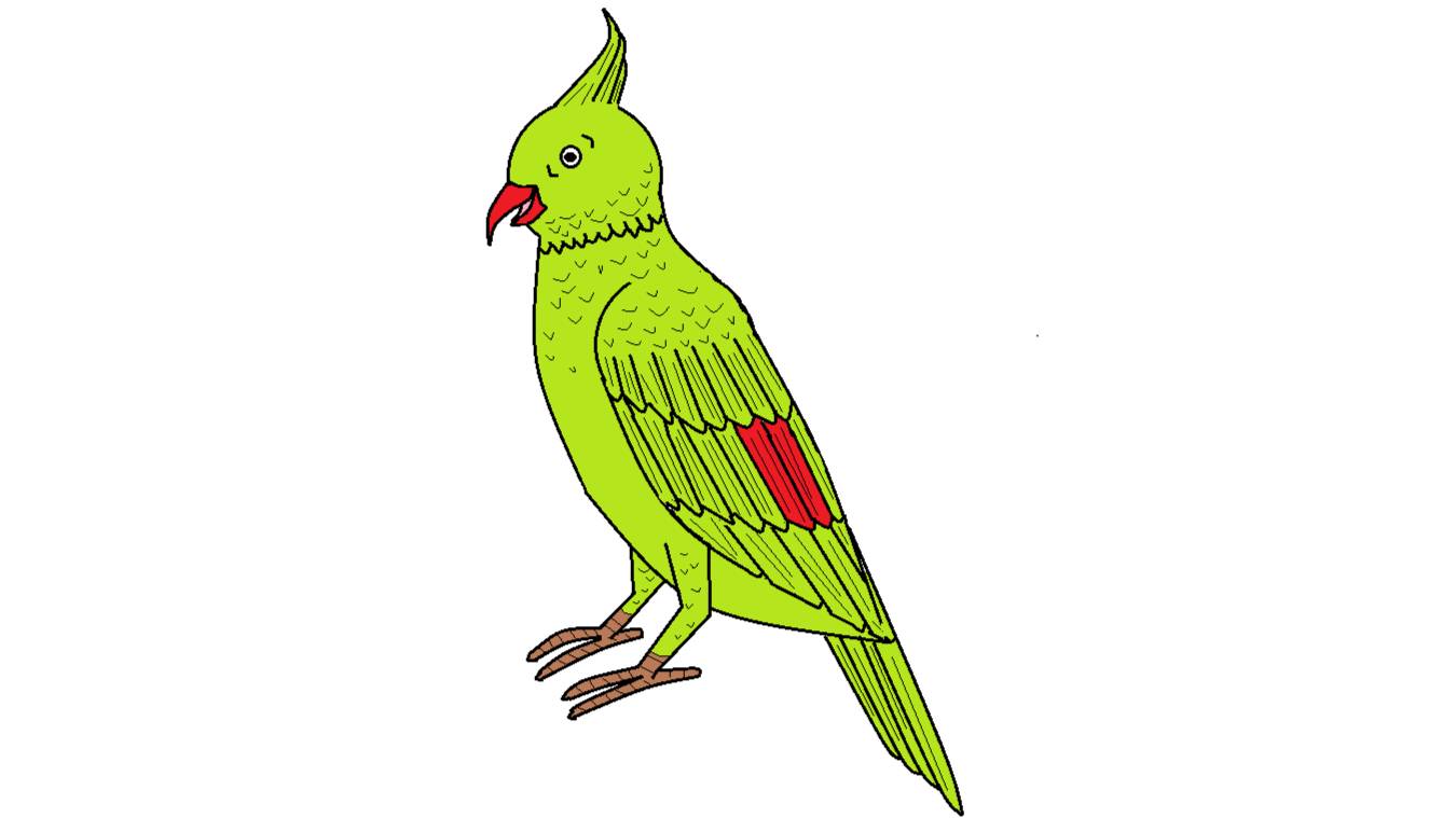 Рисуем попугая смотреть онлайн