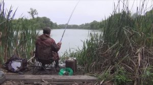 Из 7 насадок работала только ОДНА! Такое может только карась! Я в шоке от этой рыбалки... (2020г)