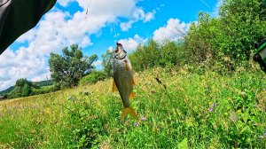 РЫБАЛКА ПО-ПРОСТОМУ В ДЕРЕВНЕ НА РЕЧКЕ МНОГО ПЛОТВЫ