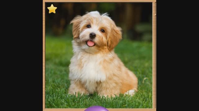 Детям . Развивающий мультфильм для детей смотреть онлайн