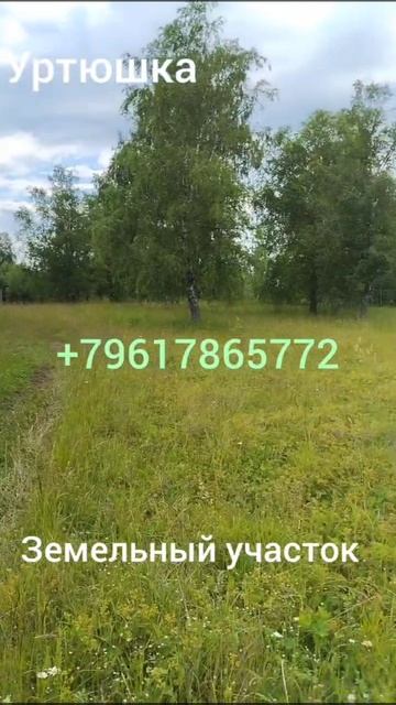 video_2025-07-07_13-13-41 смотреть онлайн