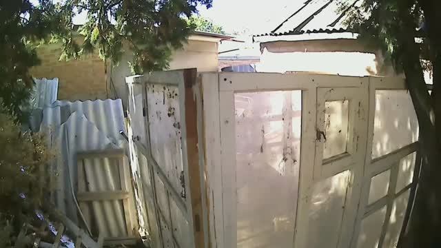 Отходы - в доходы. Курятник с форточками. смотреть онлайн