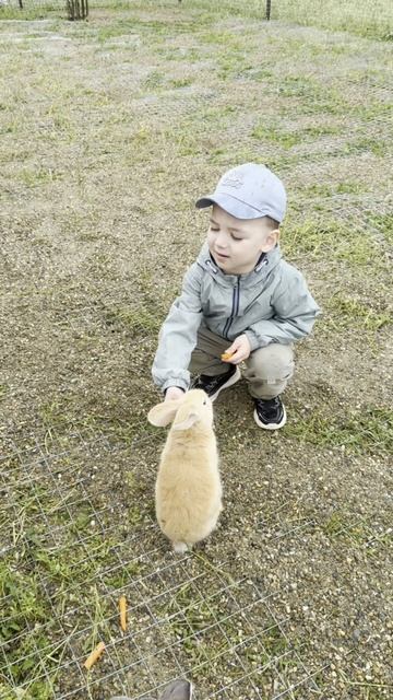 Экоферма Ковчег в станице Пластуновская Краснодарского края