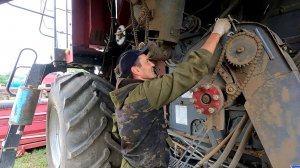 Дожди рушат все наши планы!