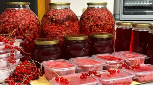 Повторяю каждый год: самые лучшие РЕЦЕПТЫ заготовки красной смородины от канала «Сейчас Приготовим!