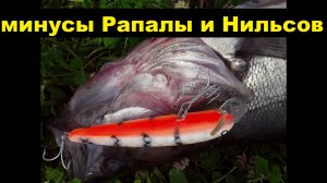 Почему я не ловлю Рапалой и Нильсами.
