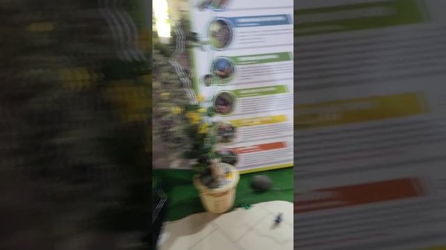Ферма бабочек смотреть онлайн