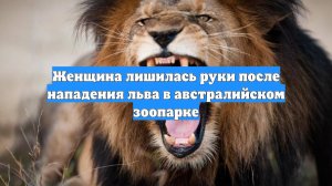 Женщина лишилась руки после нападения льва в австралийском зоопарке