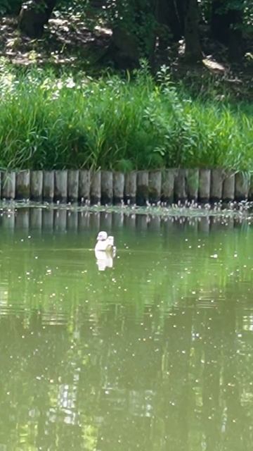 Прогулка #сезонконтентаRUTUBE