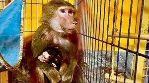 Мама Лида смотрит на резвящихся Люську и компанию и не понимает куда она попала