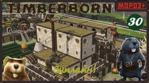 ✅ Timberborn ✅ Боброво №30 Зиплайн!