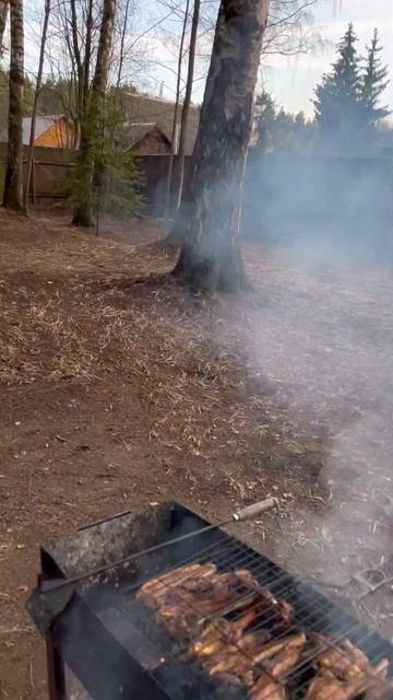 5 апреля 2023 г. смотреть онлайн