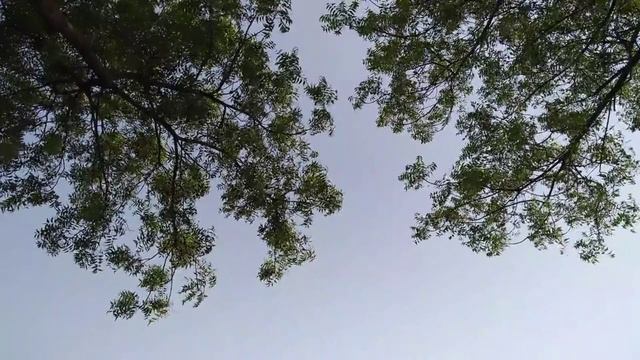 Галина Исмаилова "Мало надо ..." читает Любовь Б. смотреть онлайн