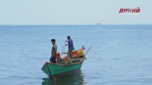 Дикая Камбоджа