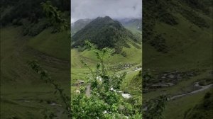 халимат магомедова