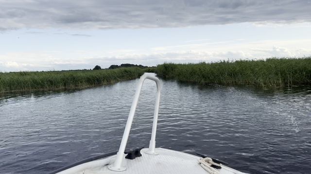 Свирица 2 смотреть онлайн