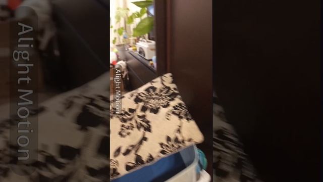 аааааааааааааа страшна вырубай инет 🌐 пожалуйста 🥺 смотреть онлайн