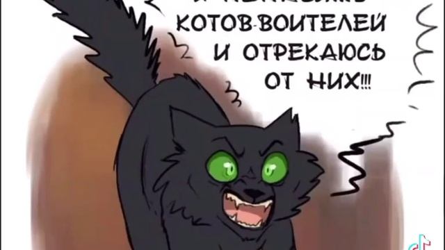 Коты воители мемы смотреть онлайн