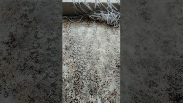 всем привет 👋😊 смотреть онлайн