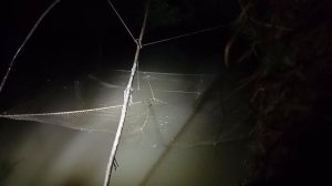 ночная рыбалка  на огромный паук подъемник