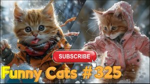 Смешные коты #325