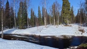 Едем на гусиную охоту с отцом