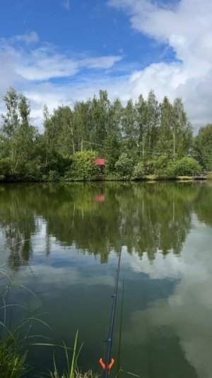 Тихая охота, рыбалка… звуки природы