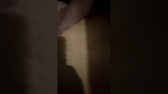 игра в кальмара с игрушками 3 часть