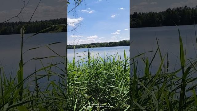 Берег Орловского карьера 03.07.2025 смотреть онлайн