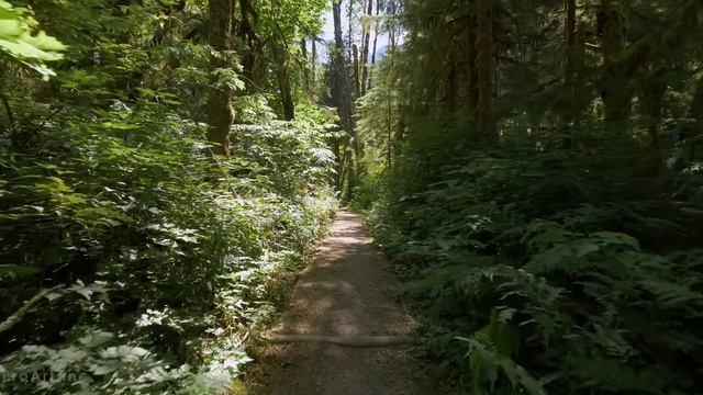 КП – Рождественский 2025 ИЮНЬ смотреть онлайн