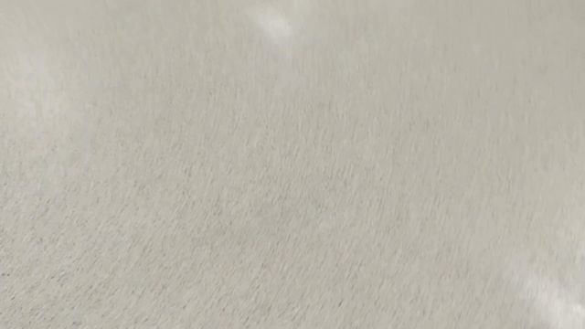 Линолеум коммерческий Lino PROFI ITEC → КАМЕЛИЯ 009 бюджетно и в точку.