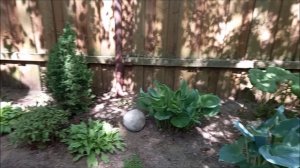 На лесном участке соседки и к Гале. Как же обустроить кухню28.05.2025