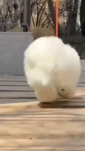 Коротко о счастье