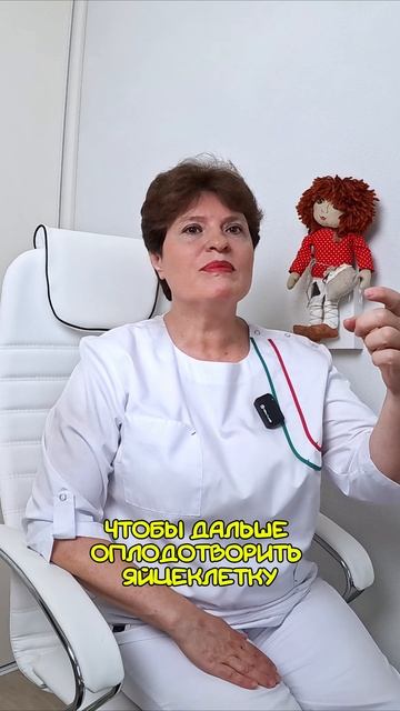 🔍 МАСТУРБАЦИЯ И ПОТЕНЦИЯ: 🚫 МИФЫ И ПРАВДА О ВЛИЯНИИ НА ЗДОРОВЬЕ 🎯 смотреть онлайн