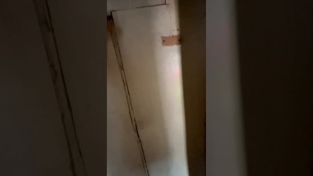 IMG_9926 смотреть онлайн