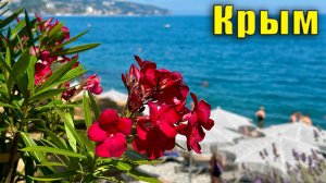 Море потеплело и народ рванул в Крым. Ежедневная "вебкамера" Ялты - что происходит на пляжах.