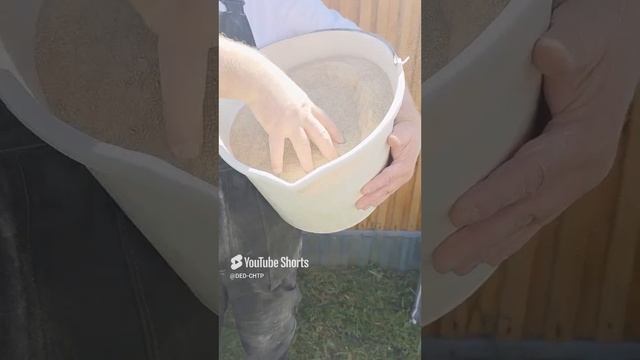 БОЛЬШОЙ ПРОТЕИН ДЛЯ ПЕРЕПЕЛЯТ! смотреть онлайн