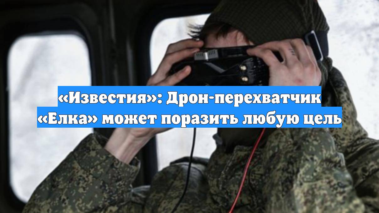 «Известия»: Дрон-перехватчик «Елка» может поразить любую цель