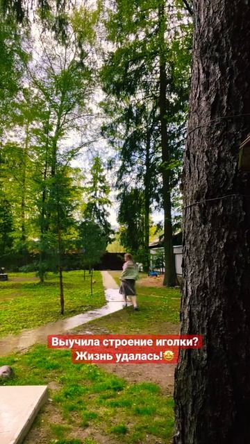 12 мая 2023 г. смотреть онлайн