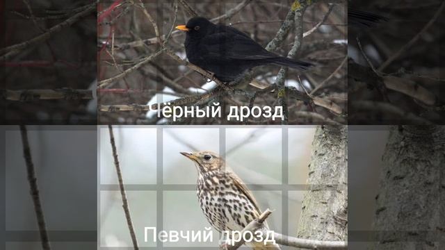 Это интересно-23