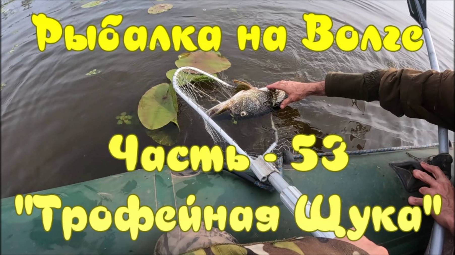 Рыбалка на Волге. Часть - 53. "Трофейная Щука". смотреть онлайн