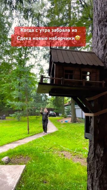 12 августа 2023 г. смотреть онлайн