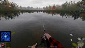 ОКУНЬ БЕЛЫЙ ГРОЗОВОЙ ТРОФ - ЛОСИНОЕ ⭐ РУССКАЯ РЫБАЛКА 4 |  RUSSIAN FISHING 4@Z-B-G