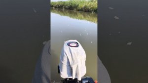 Стелс 9.8 (завод Хайди) 1000073970.mp4