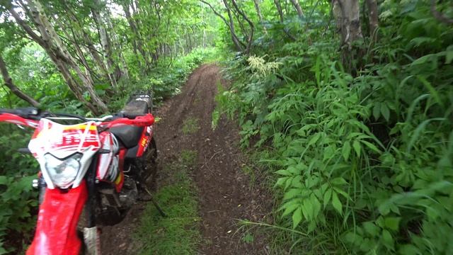 Камчатка покатушки на професорку #Moto #Эндуро