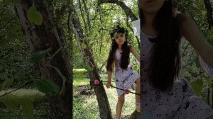 Построили домик на дереве