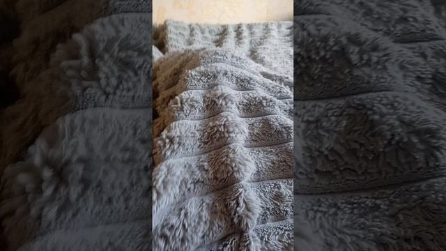 1000009061.mp4 смотреть онлайн